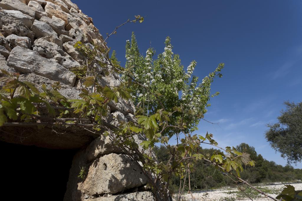 Borgo Del Sole Pensionat Morciano di Leuca Eksteriør billede